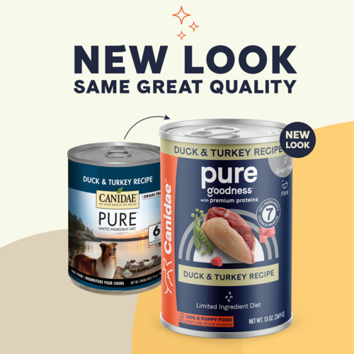 Canidae pure clearance