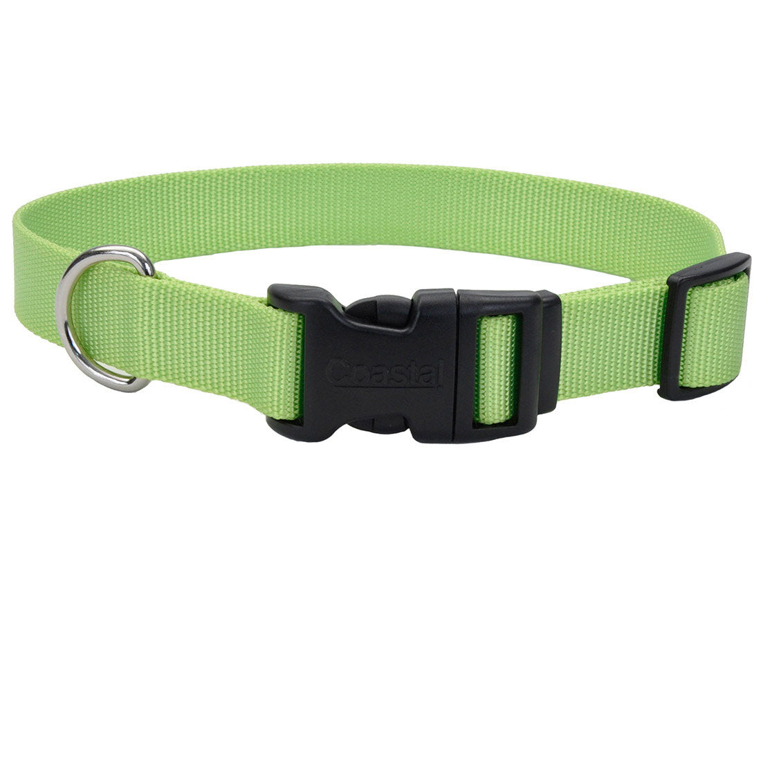 Fashion coastal dog collars