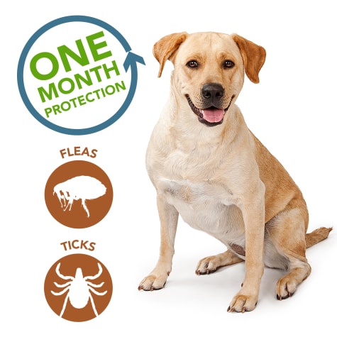 Vet's Best Flea & Tick Drops