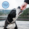 Natural Balance L.I.T. Limited Ingredient Treats Mini Jumpin' Stix Duck & Potato Formula Dog Treats