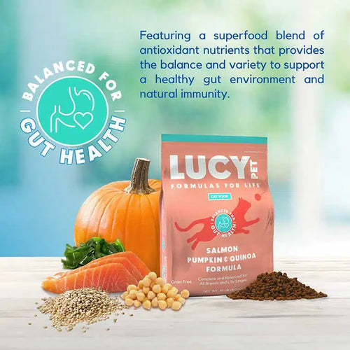 Lucy Pet Salmon, Pumpkin, and Quinoa Grain-Free Formula Dry Cat Food