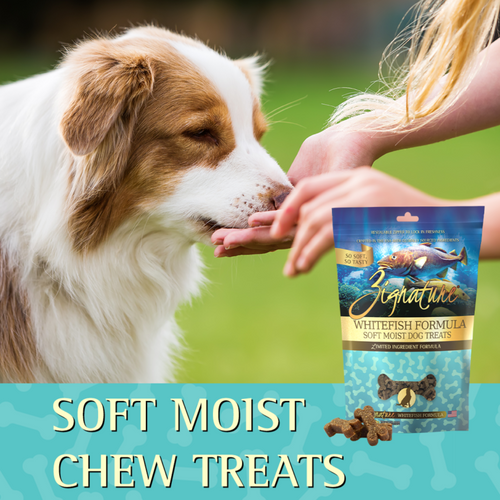 Zignature Soft Moist Dog Treats Whitefish Formula