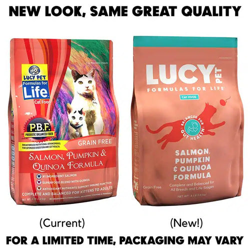 Lucy Pet Salmon, Pumpkin, and Quinoa Grain-Free Formula Dry Cat Food