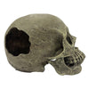 Komodo Human Skull Full