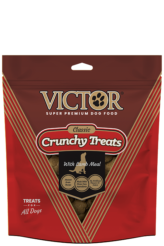 Victor Crunchy Dog Treats with Lamb Meal