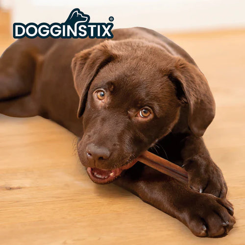 Dogginstix Bully Sticks  Standard Dog Treats