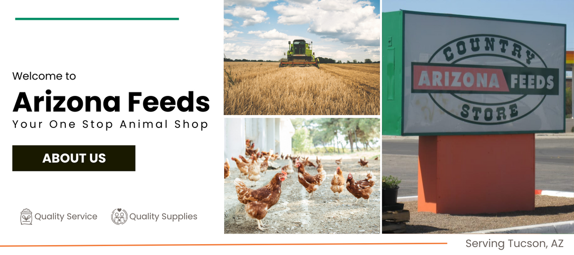 Animal Feed Store Tucson, AZ Arizona Feeds Country Store