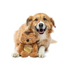 Guru Soft Scents Hedgehog Dog Toy