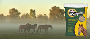 Four horses in a field on a foggy morning, with trees and the sunrise visible in the background. A bag of EZ Equine pellets is placed on the right side of the image to promote the product.