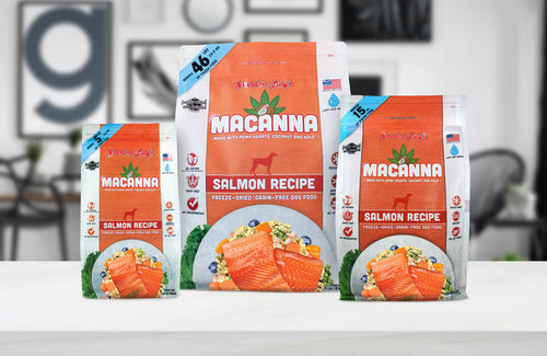 Grandma Lucy's Macanna Salmon Recipe Freeze Dried Grain Free Dog Food