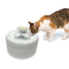 Pioneer Pet Magnolia Premium Plastic Drinking Fountain