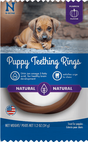 N-Bone® Puppy Teething Rings Pumpkin Flavor