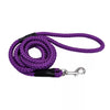 Coastal Pet Coastal Rope Dog Leash