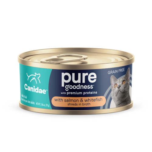 Canidae grain free salmon best sale