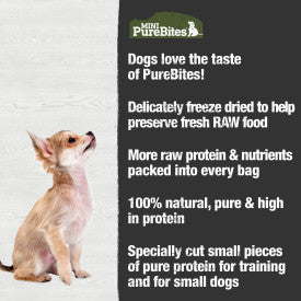 PureBites Beef Liver Mini-PureBites Dog Treat