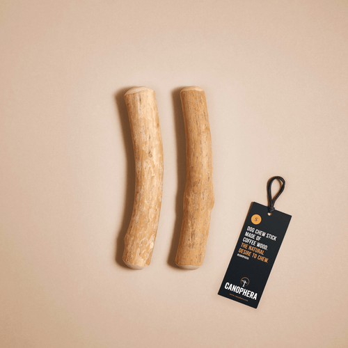 Canophera Coffee Wood Dog Chew Sticks (Large)