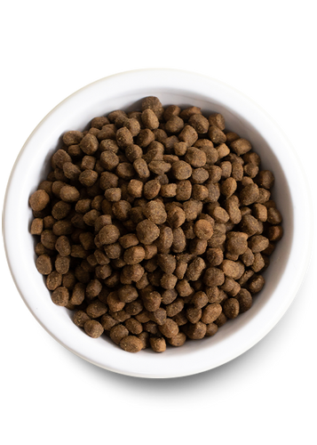 Open Farm Grass-Fed Beef Dry Dog Food