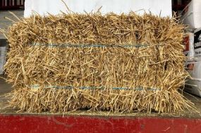 Straw Bale