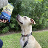 Beg & Barker Whole Turkey Chips Dog Treats