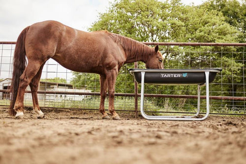 Tarter Equine Pro Bunk Feeder