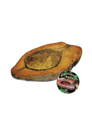T-Rex Reptile Terrarium Decor - Wetlands Bowl
