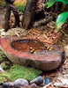 T-Rex Reptile Terrarium Decor - Wetlands Bowl
