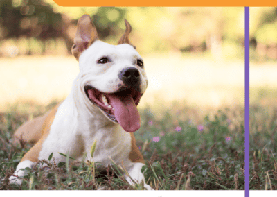 Vet Worthy Stop Stool Ingestion Liver Flavored Soft Chew for Dogs