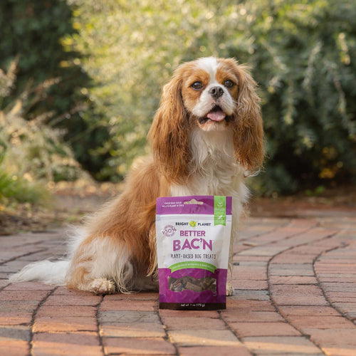 Bright Planet Better Bac'n Plant-Based Dog Treats
