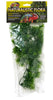 Zoo Med Natural Bush™ Plants – Borneo Star