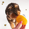 Nylabone Creative Play Eggi Dog Treat Toy