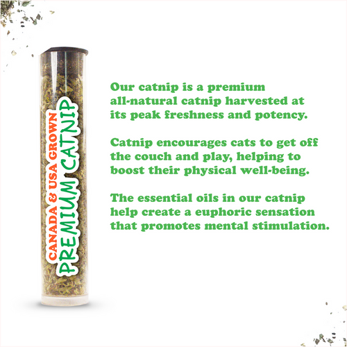 Meowijuana Get Kickin' Refillable Spicy Pickle Kicker Cat Toys