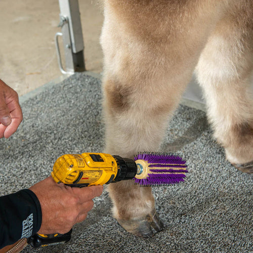 Weaver Leather Regular Roto Brush