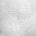 Galápagos Egg Dishes