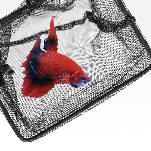 Seachem Fish Nets