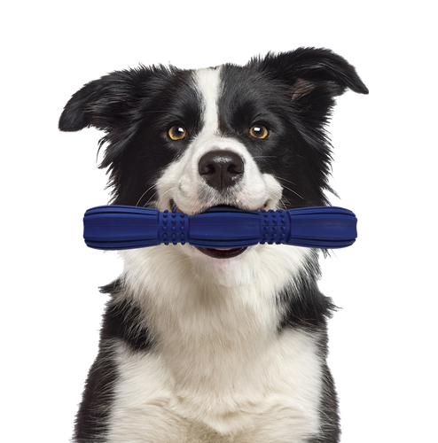 Ethical SPOT Barrett Tough Retriever Dog Toy