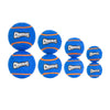 Chuckit! Squeaker Tennis Ball Dog Toys