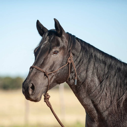 Classic Equine Econo Rope Halter and 8-foot Leadrope