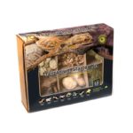 Galapagos Arid Environment Terrarium Kit