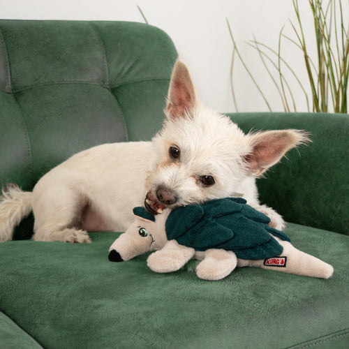 KONG Layerz Forage Armadillo Dog Toy