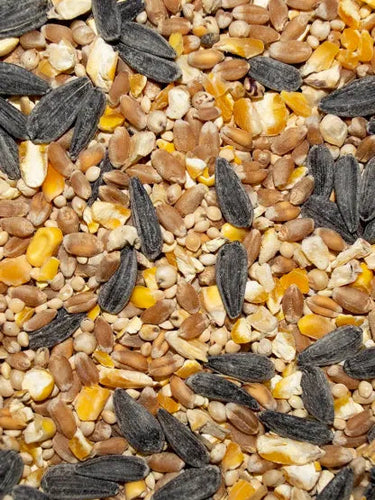 Volkman Pet Backyard Delight