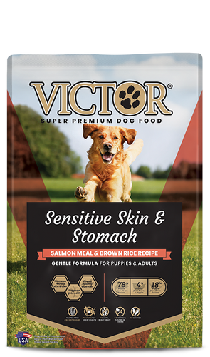 Victor Pet Sensitive Skin & Stomach Salmon Meal & Brown Rice Recipe Dry Dog Food