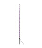 Weaver Leather Lunge Whip with Rubber Handle