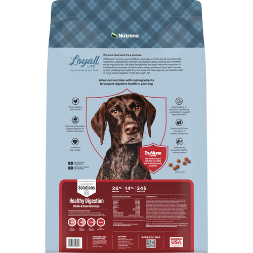 Nutrena® Loyall Life® Advanced Solutions Healthy Digestion Chicken & Rice Recipe Adult Dog Food