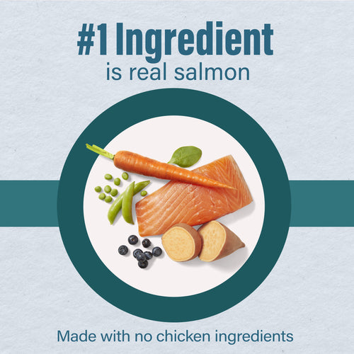 Nutrena® Loyall Life® Advanced Solutions Sensitive Skin & Coat Salmon & Oatmeal Recipe Adult Dog Food