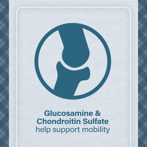 Nutrena® Loyall Life® Large Breed Beef & Barley Recipe Adult Dog Food