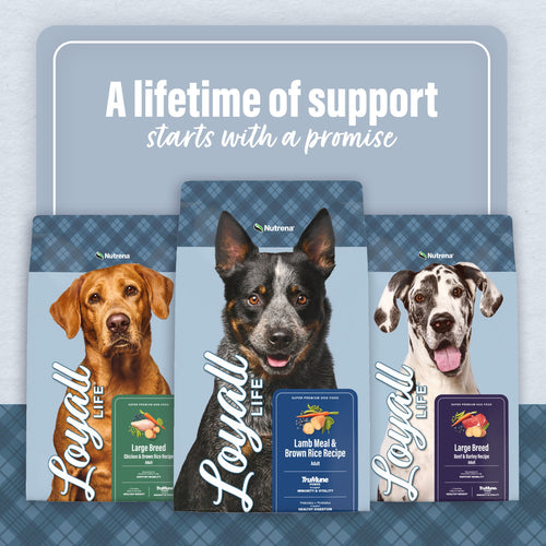 Nutrena® Loyall Life® Large Breed Lamb Meal & Brown Rice Recipe Adult Dog Food