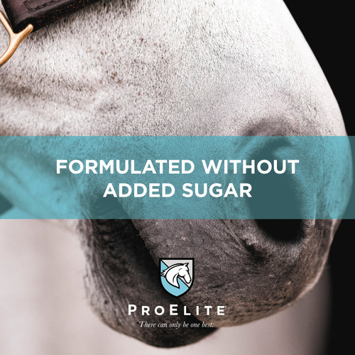 ProElite® Sweat