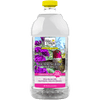 Wild Delight Hummingbird Hydrate RTU