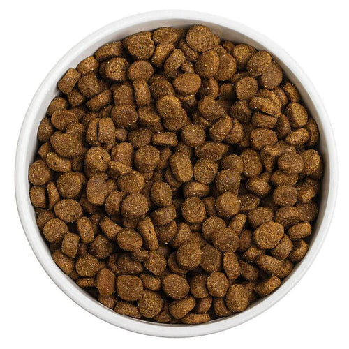 Redbarn First-Five Kibble Grain-Free Puppy Beef & Lamb Recipe