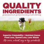 NutriSource® Beef & Barley Entrée Healthy Affordable Wet Dog Food
